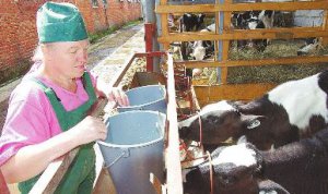 ������ ����������������� �� ���������������