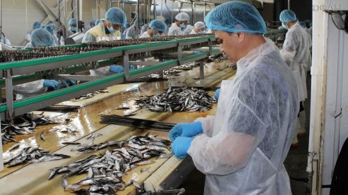 ������ ҷ��� ���� ���ӣ ��� Ҷ��� ��������������