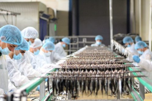 ������ ҷ��� ���� ���ӣ ��� Ҷ��� ��������������