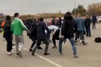 �������: ��ҳ�������� Ҷ��ҳ���� ��ҷ������� ҳ���� ��������